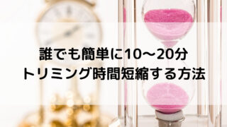 男性でもトリマーになれる トリマーに男性が少ない理由と向いている男性2つの特徴 とりまーる