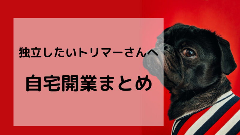 トリマーで独立を目指す 自宅サロン開業の準備 手順を徹底解説 とりまーる